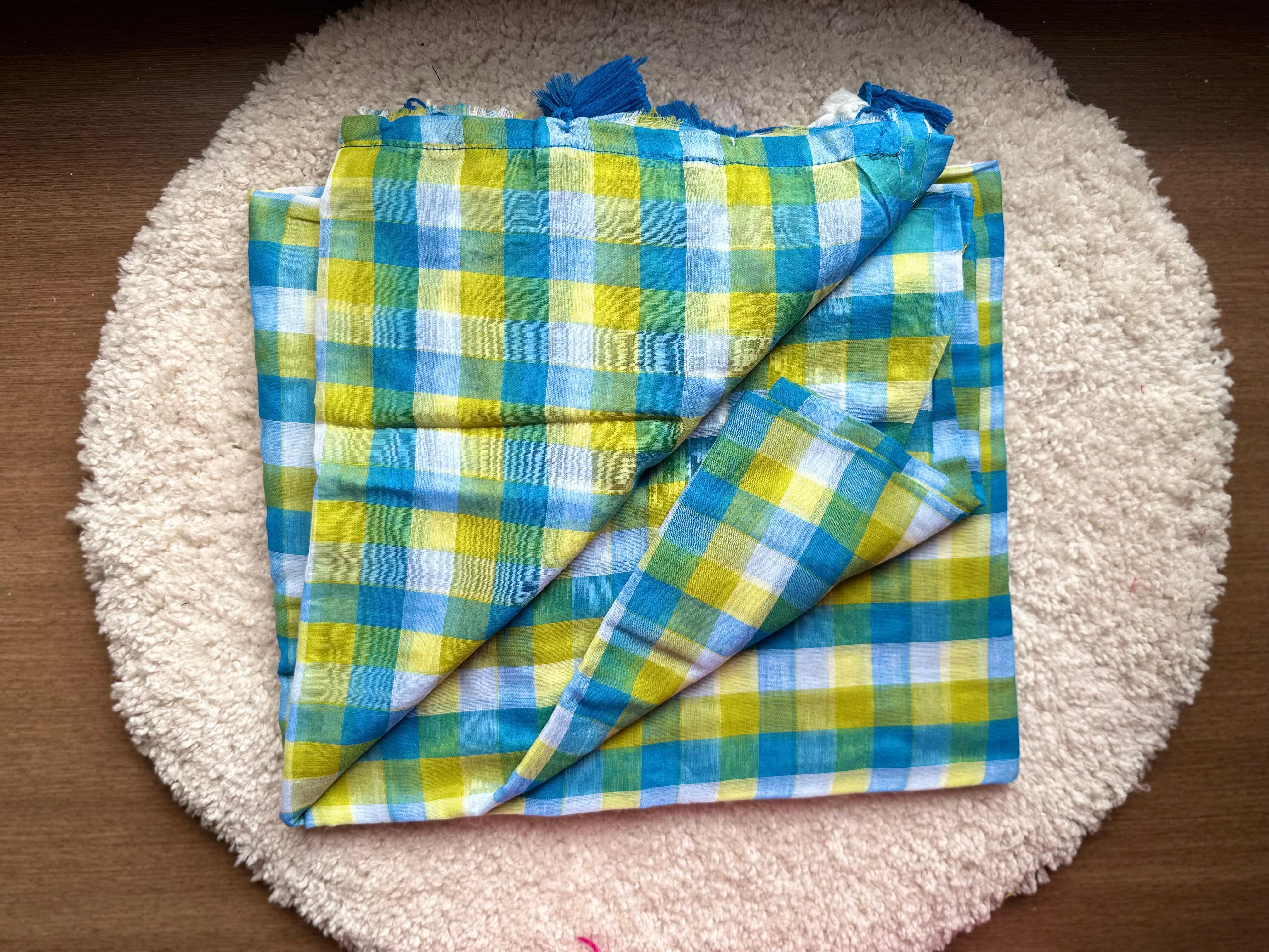 Checked Pattern | Blue and White Mul Cotton Saree